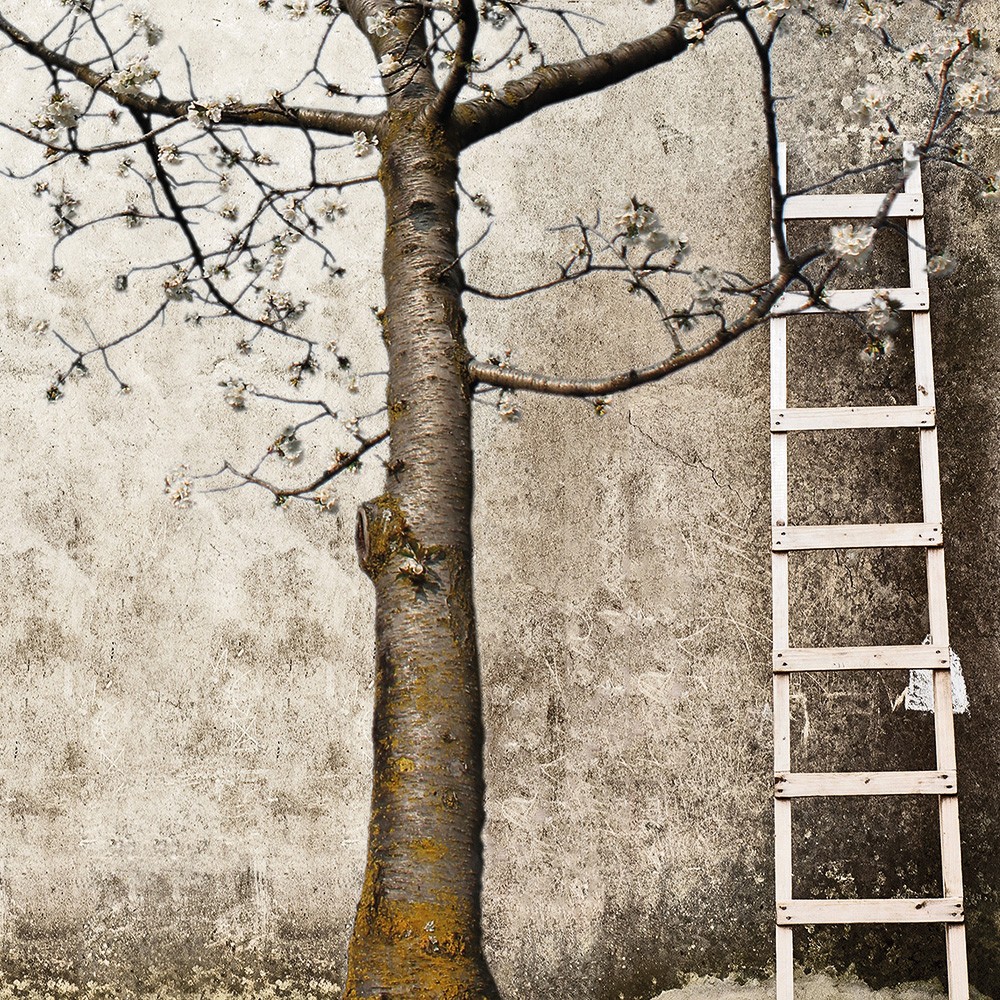 Cherry - L.180 H.420 cm.