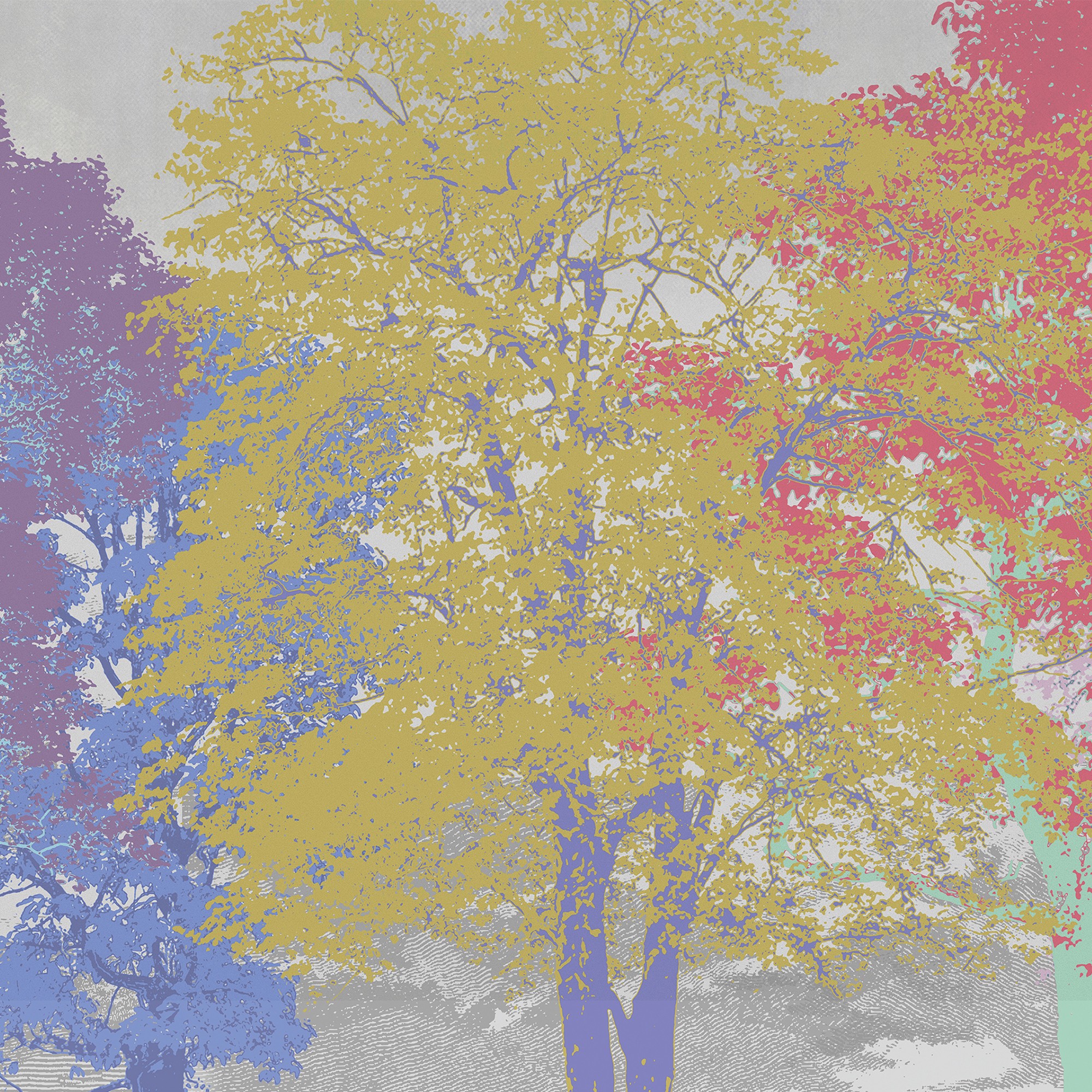 Color Trees