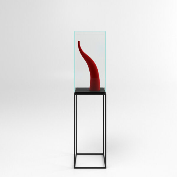 Tulip - immagine 4