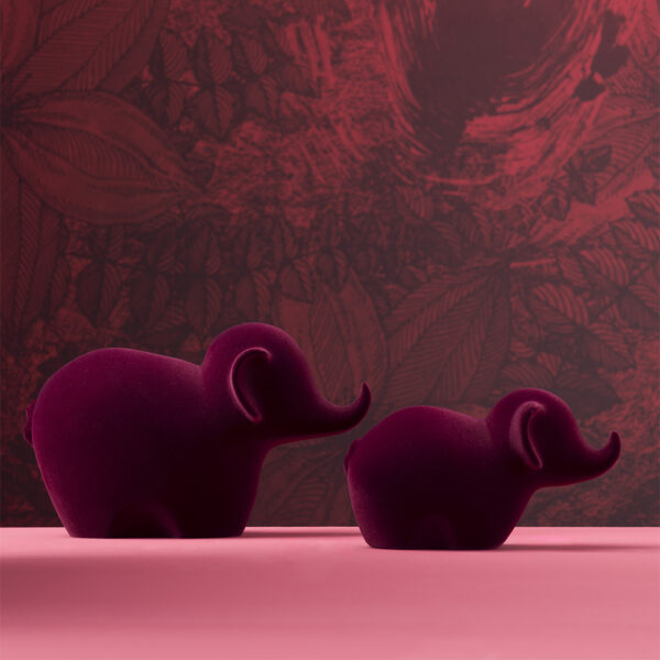 Dumby Velvet - immagine 2