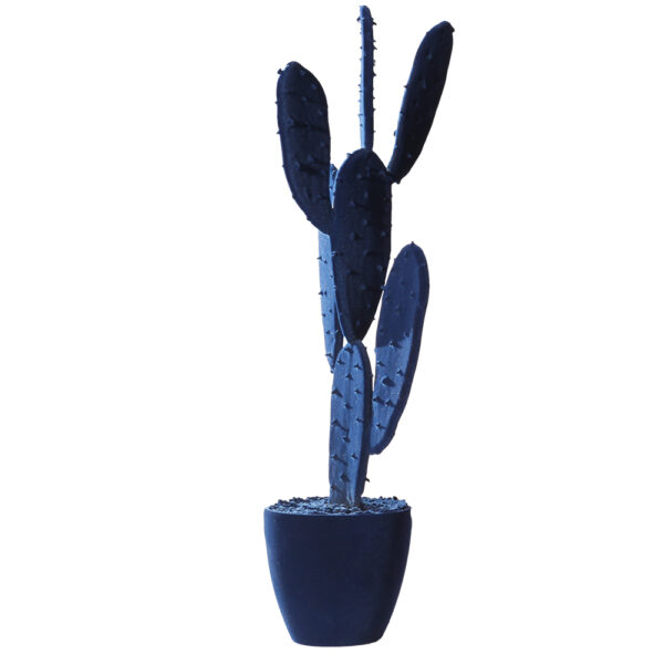 Cactus 65