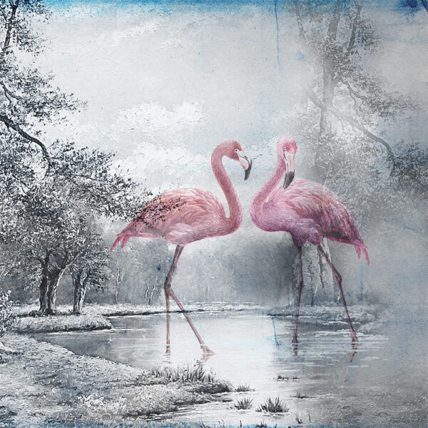 Flamingo_3