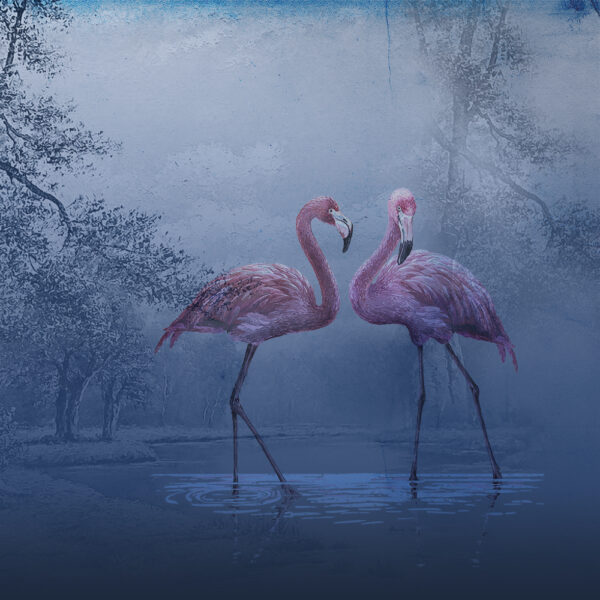 Flamingo_4