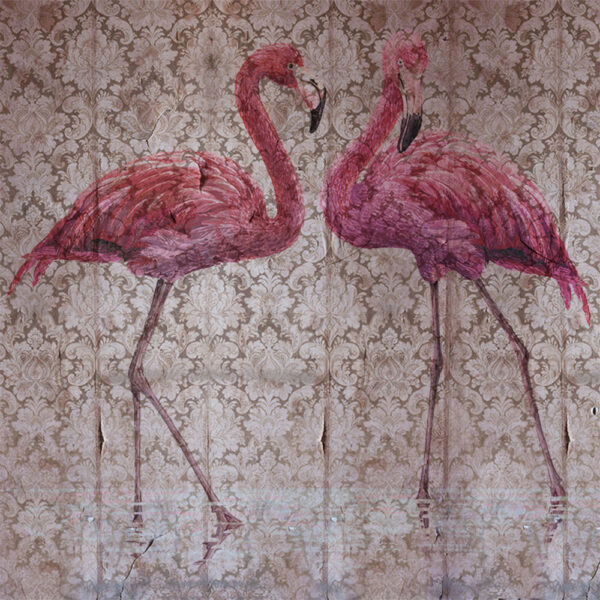 Flamingo_5