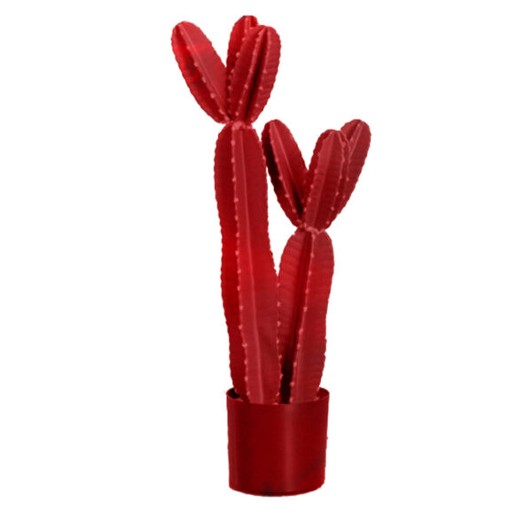 Cactus Double
