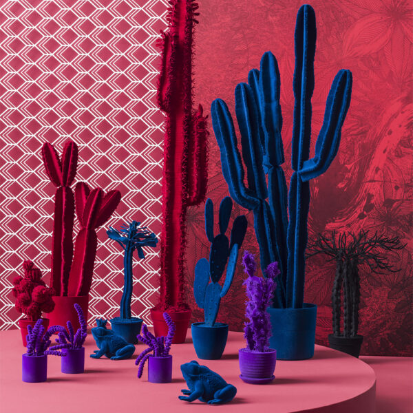 Cactus Euphorbia h 130 cm - immagine 2