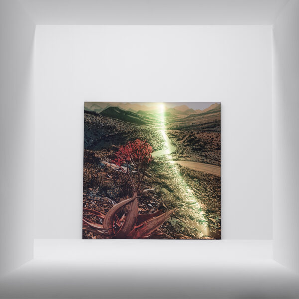 Quadro Aladino Light - immagine 3
