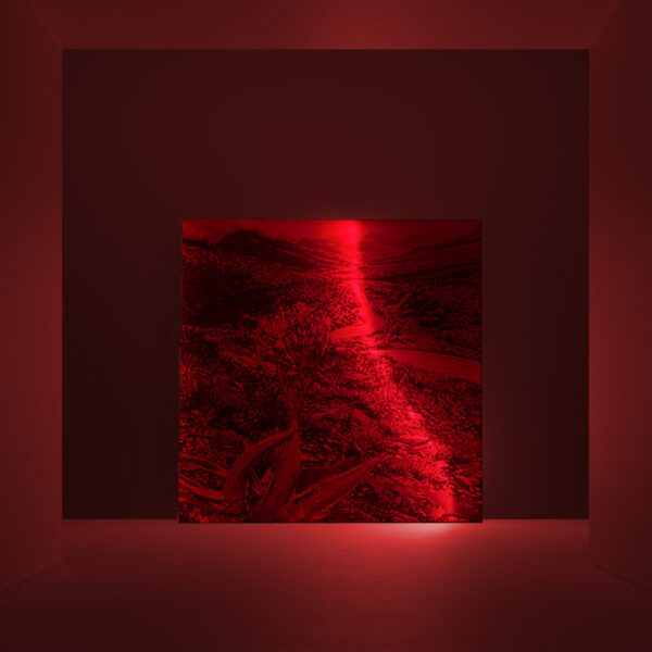 Quadro Aladino Light - immagine 4