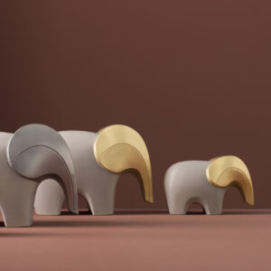 Bra Elephant Bicolor