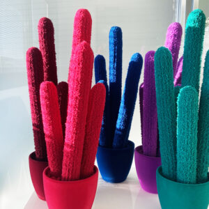 Long Cactus Velvet