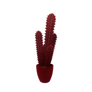 Pickly Cactus Velvet