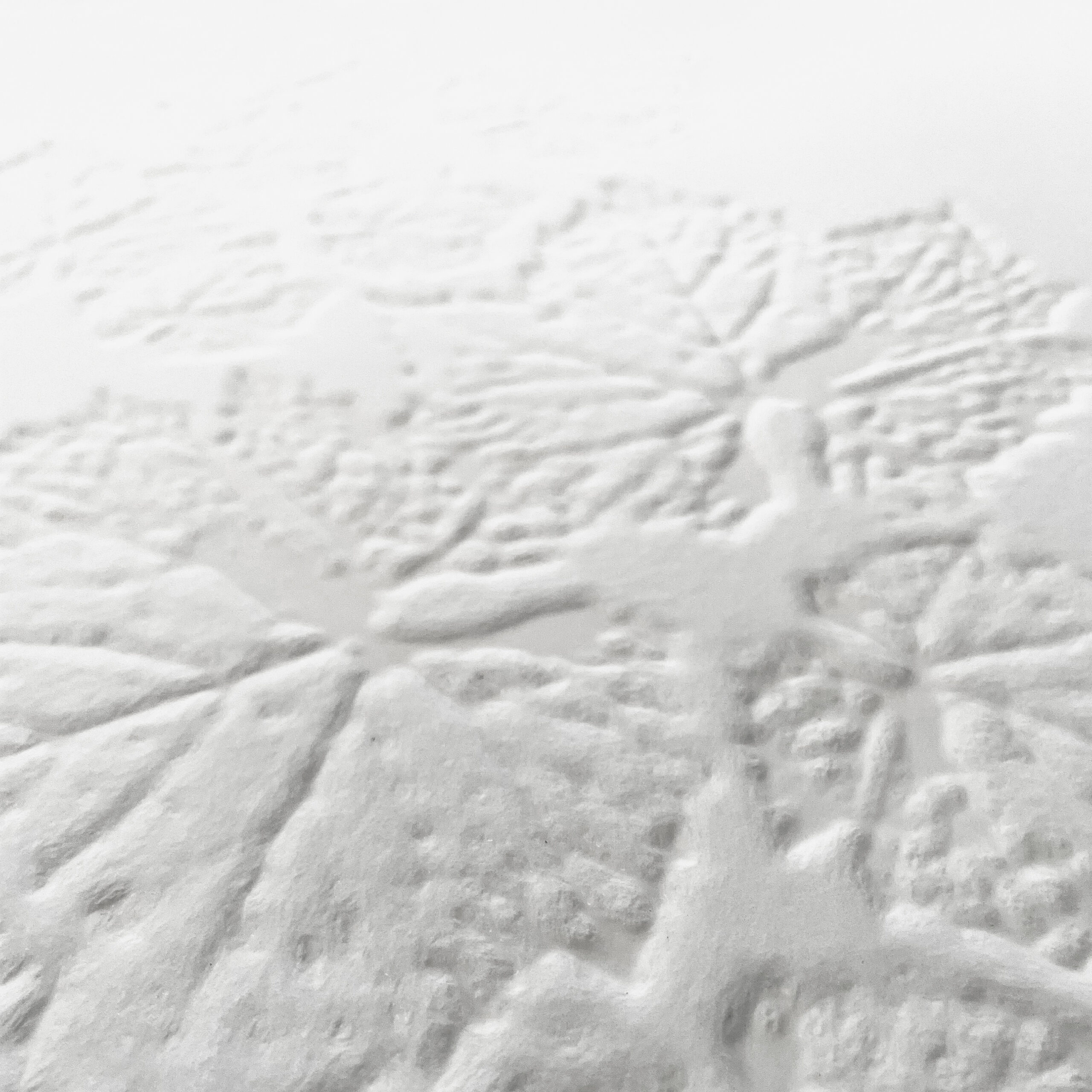 Ivy Leaves - 3D - immagine 2