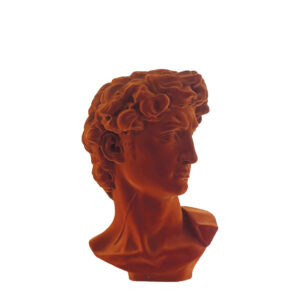 David  Medium Velvet